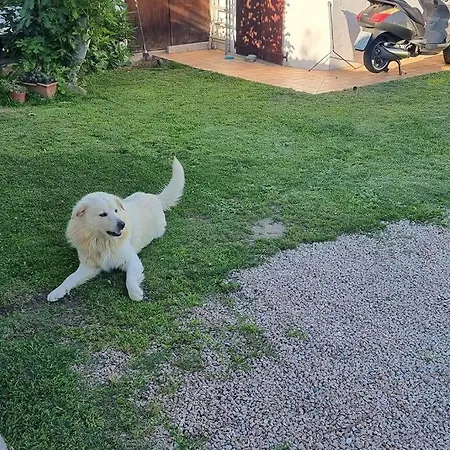 Casa de Férias Appartamento, 2 Adulti E 2 Bambini A 150 Dal Mare *